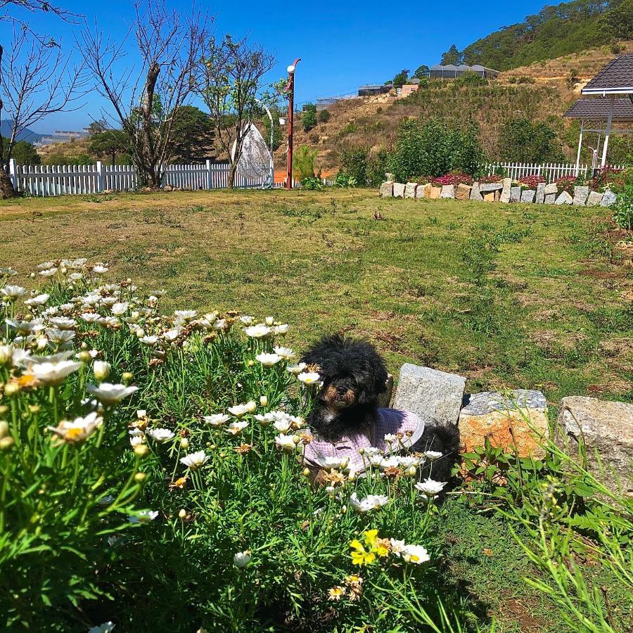 Canh Dong May Homestay Νταλάτ Εξωτερικό φωτογραφία